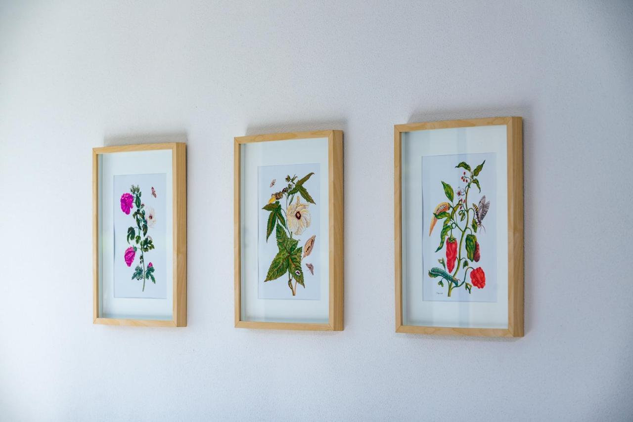 Apartment Le Rose Di Marianne - Ovest Vahrn ภายนอก รูปภาพ