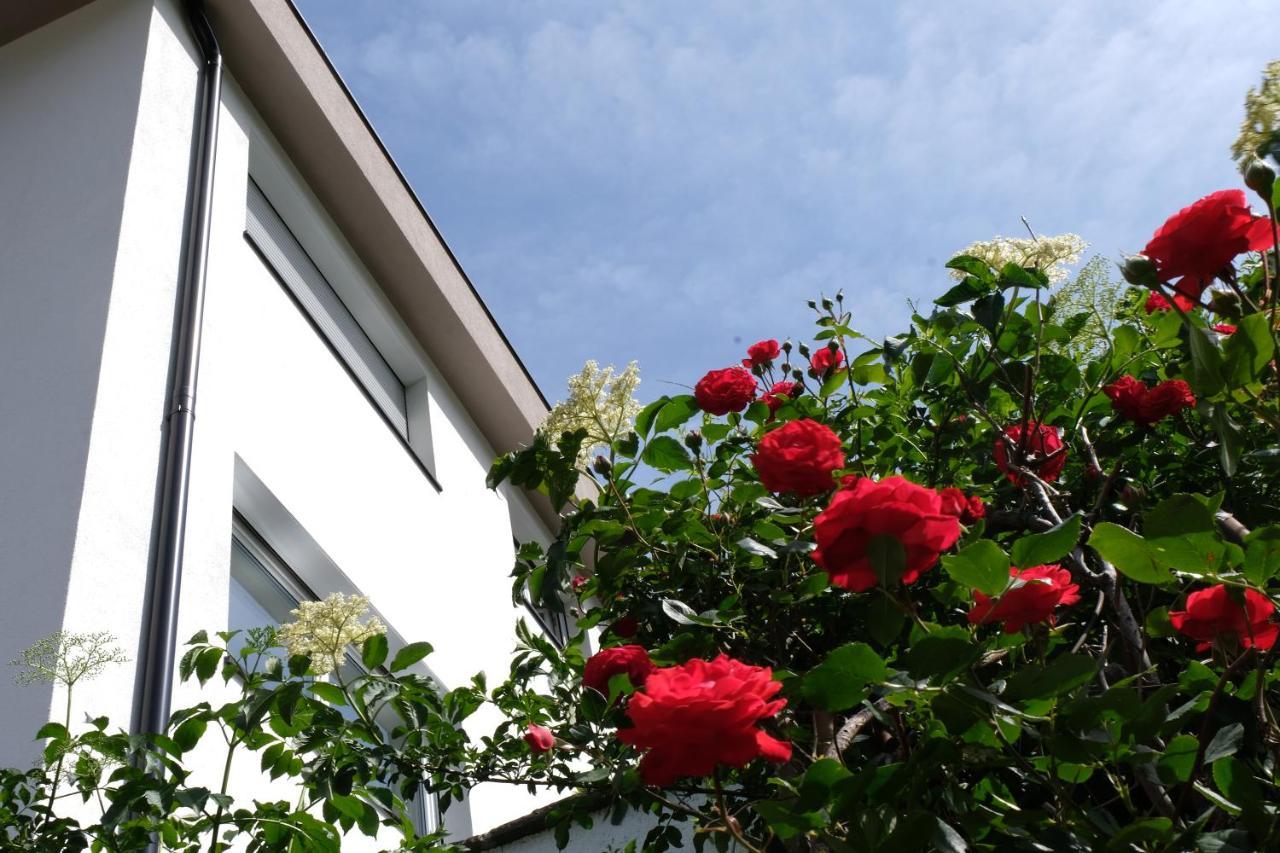 Apartment Le Rose Di Marianne - Ovest Vahrn ภายนอก รูปภาพ